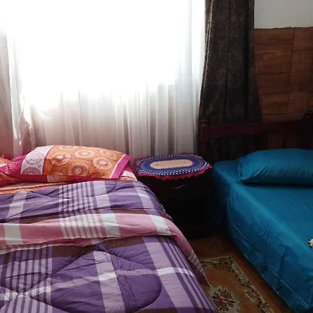 Hst Atelie Marli Marques Apartment Pelotas Exterior photo